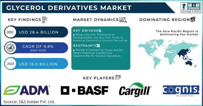 Glycerol Derivatives Market Revenue Analysis