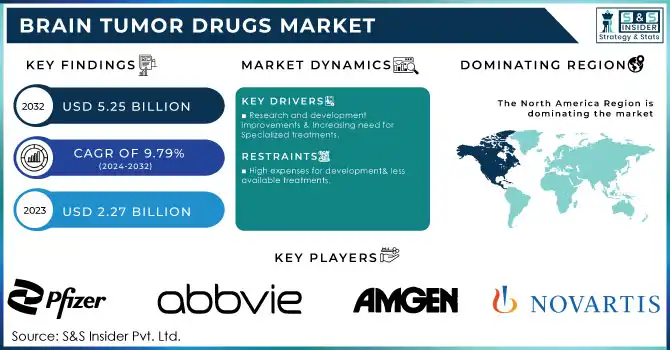 Brain Tumor Drugs Market,Revenue Analysis