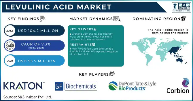 Levulinic Acid Market Revenue Analysis