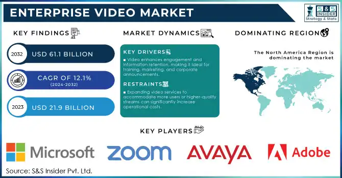 Enterprise Video Market Revenue Analysis