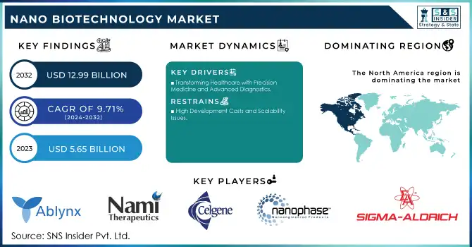 Nano Biotechnology Market Revenue Analysis