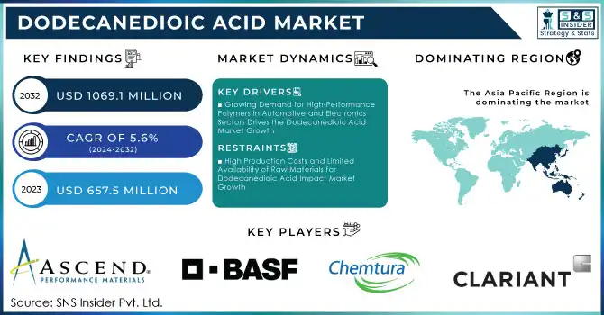 Dodecanedioic Acid Market Revenue Analysis