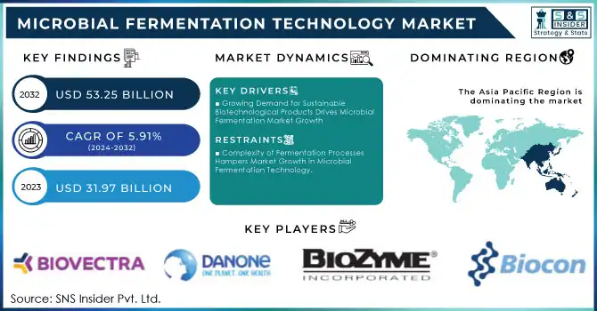 Microbial Fermentation Technology Market, Revenue Analysis