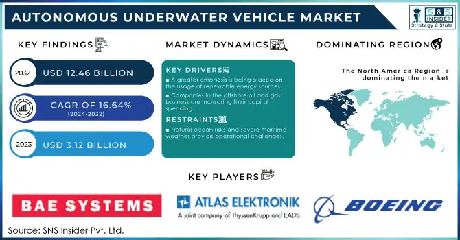 Autonomous Underwater Vehicle Market Revenue Analysis