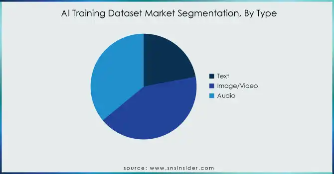 AI-Training-Dataset-Market-Segmentation-By-Type