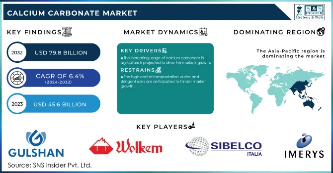 Calcium Carbonate Market Revenue Analysis