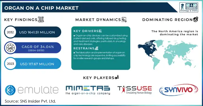 Organ on a chip Market Revenue Analysis