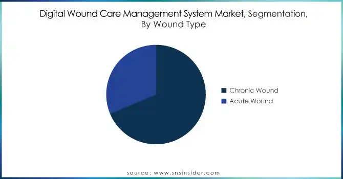 Digital-Wound-Care-Management-System-Market-Segmentation-By-Wound-Type