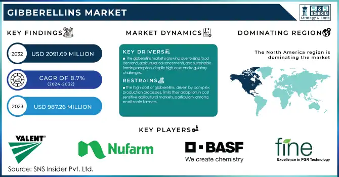 Gibberellins Market Revenue Analysis