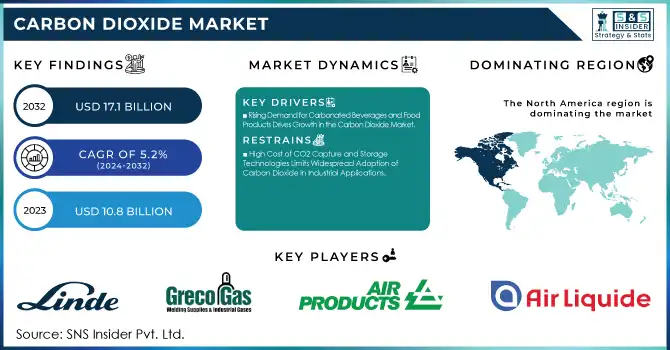 Carbon Dioxide Market Revenue Analysis