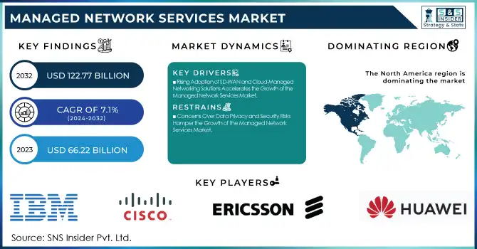 Managed Network Services Market Revenue Analysis