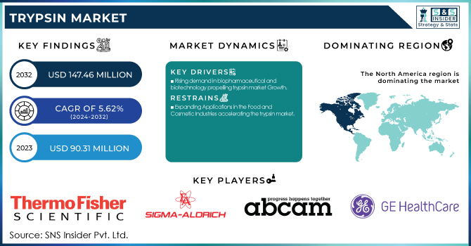 Trypsin Market Revenue Analysis