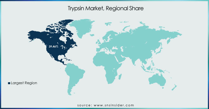 Trypsin-Market-Regional-Share