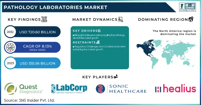 Pathology Laboratories Market Revenue Analysis