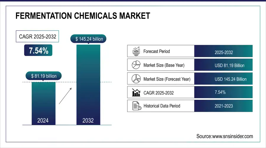 Fermentation Chemicals Market Revenue Analysis